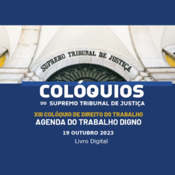 Imagem de Livro digital XIII Colóquio do Direito do Trabalho